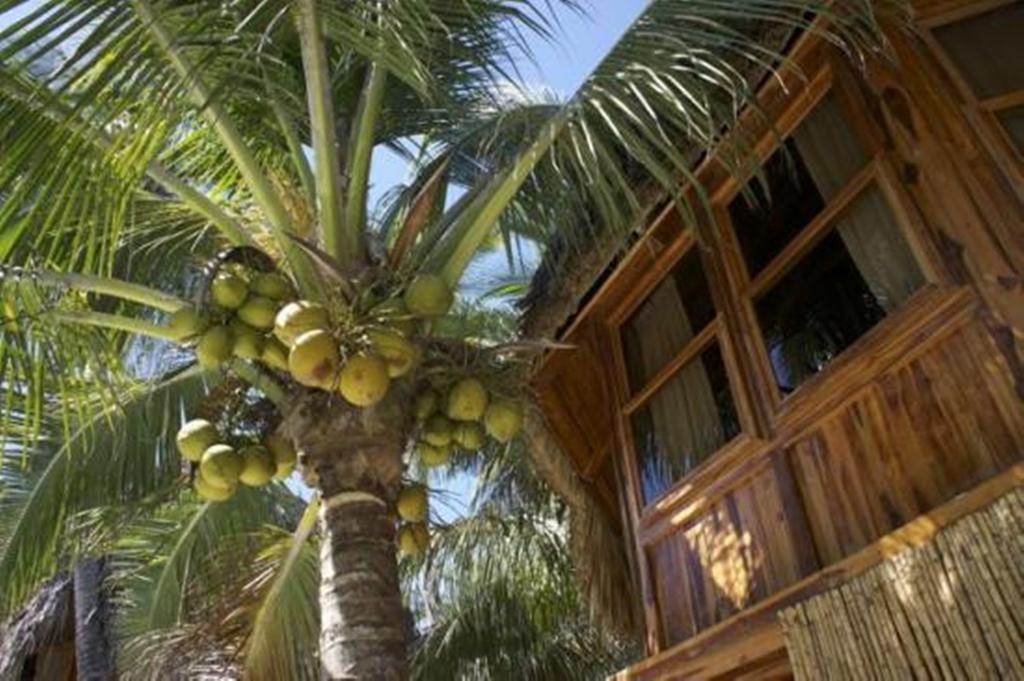 Hotel Tortuga Village San Luis La Herradura Екстер'єр фото